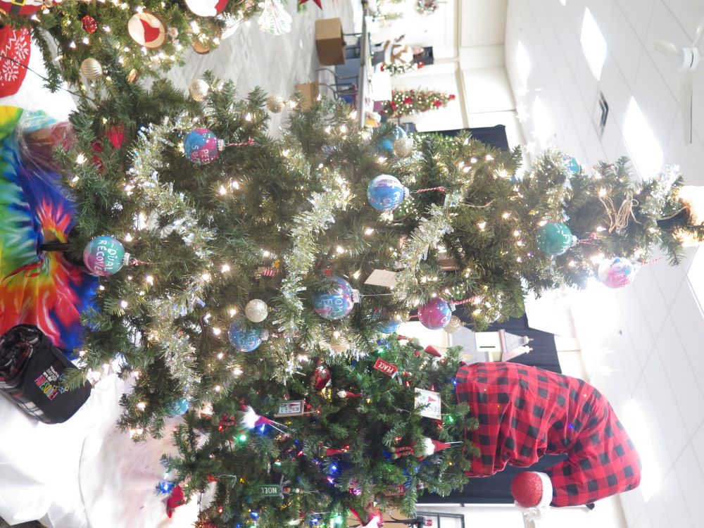 /Events/Festival Of Trees/Images/Allwell behavioral health.JPG