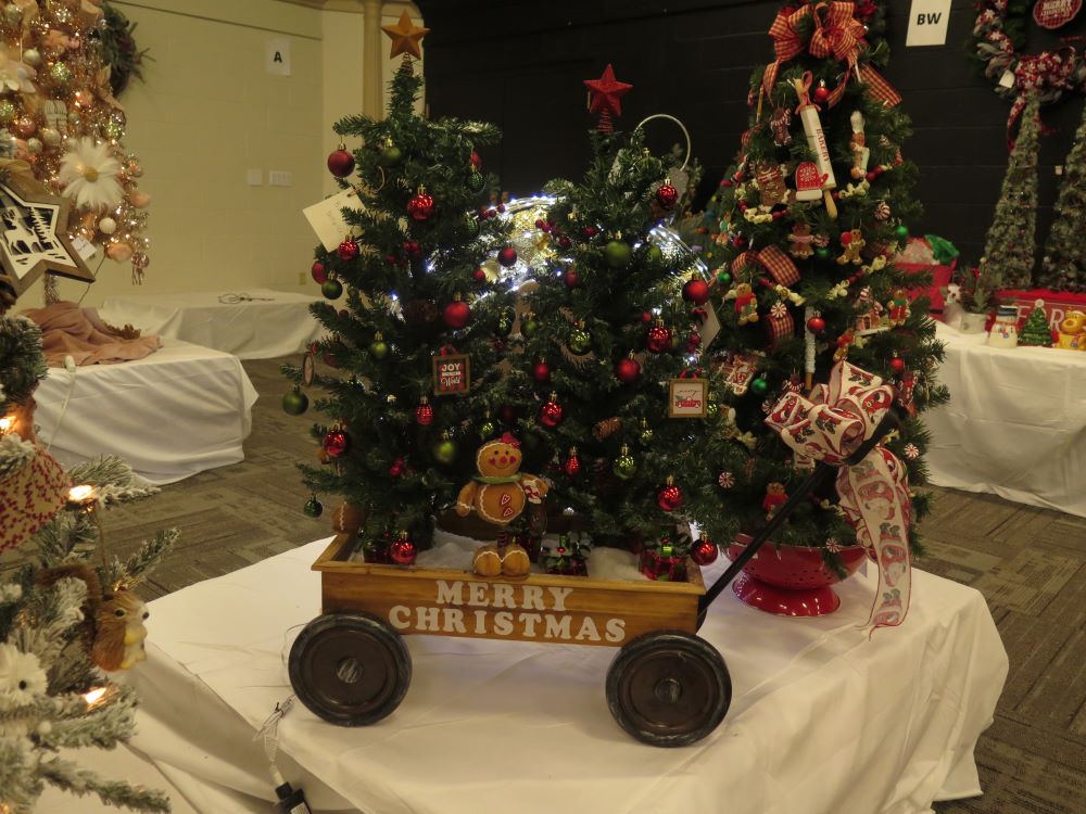 /Events/Festival Of Trees/Images/Buckeye hospice.JPG